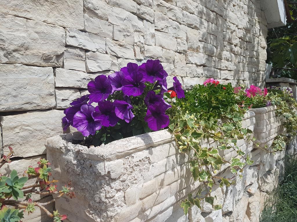 Apartment Adis Sibenik Exterior photo